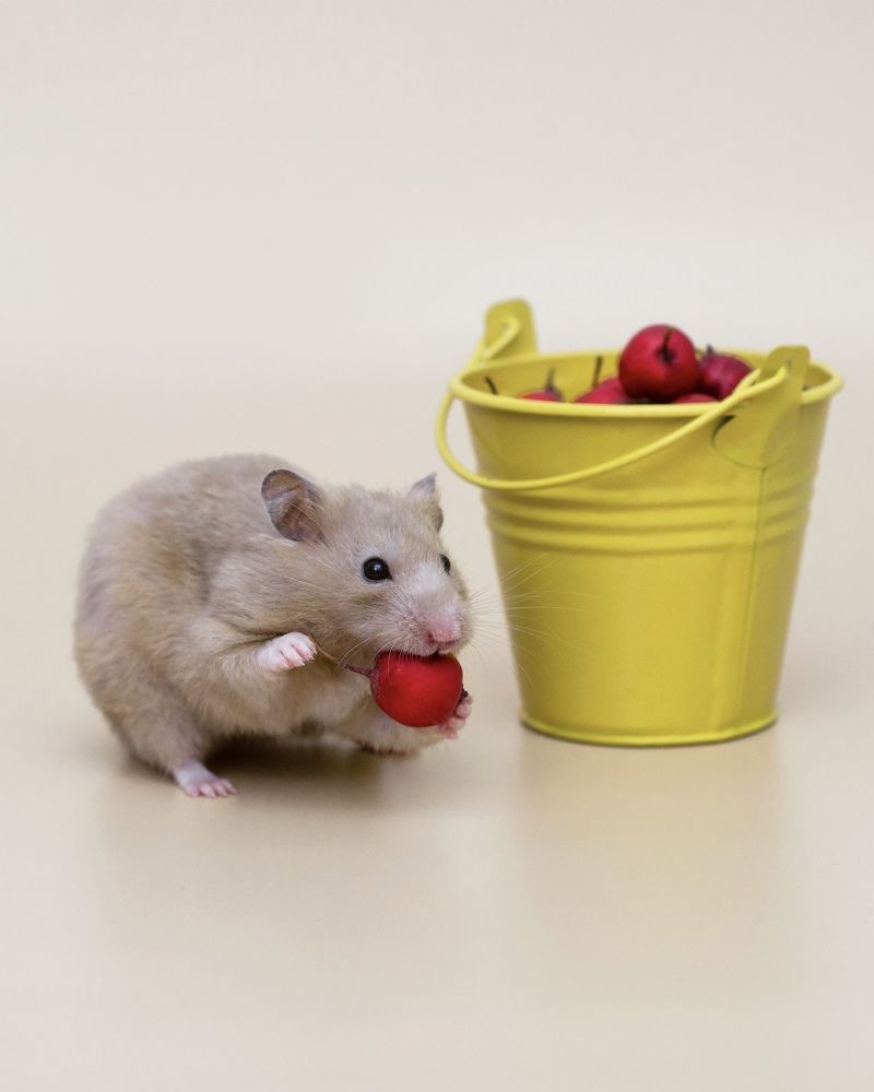 Photograph by Юлия Сидорова