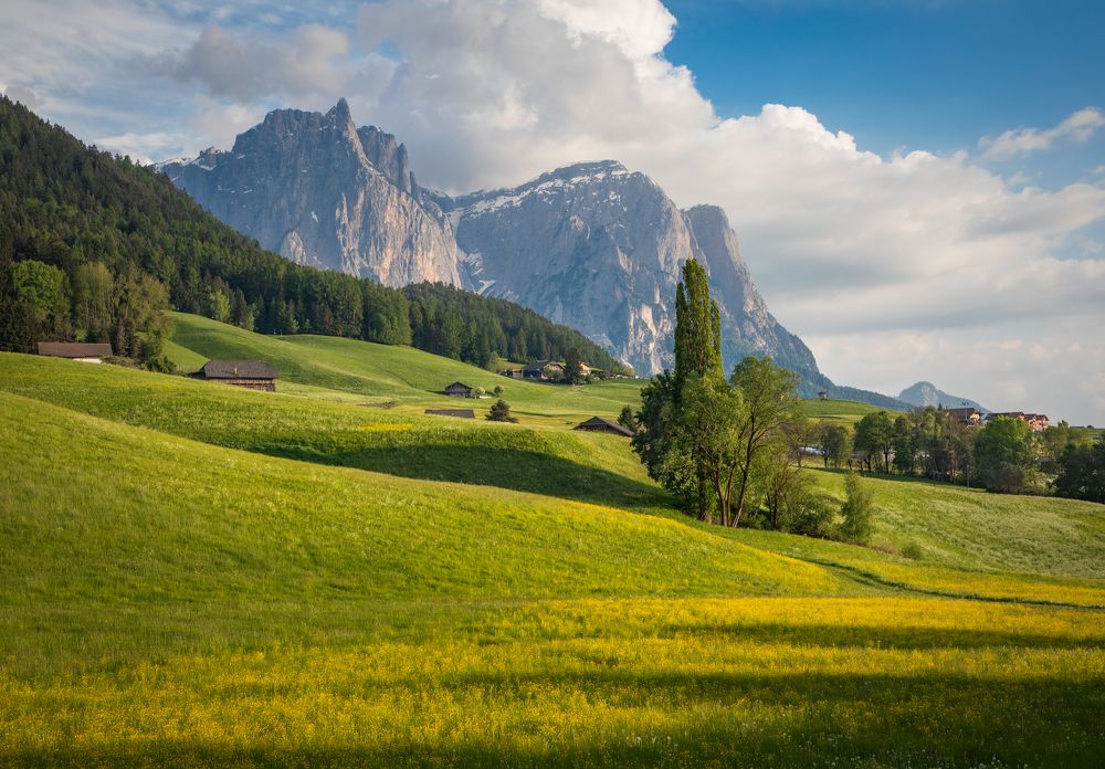 Photograph by Алекс Римский