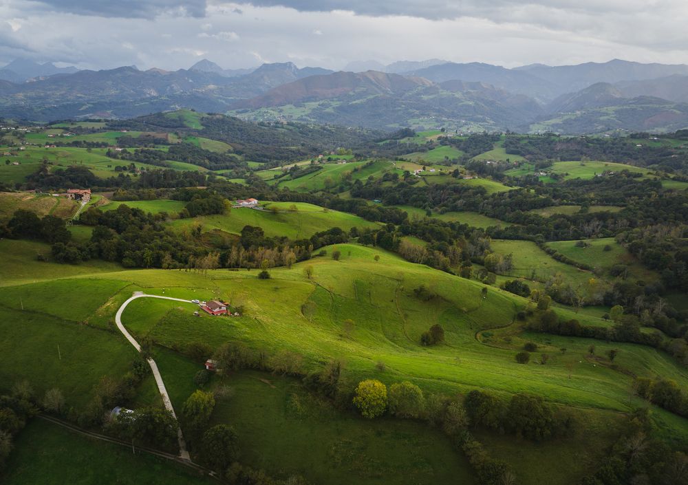 Photograph by Алекс Римский