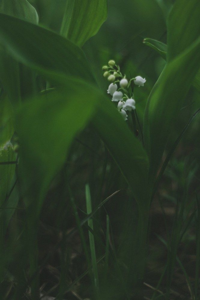 Photograph by Екатерина Андросова