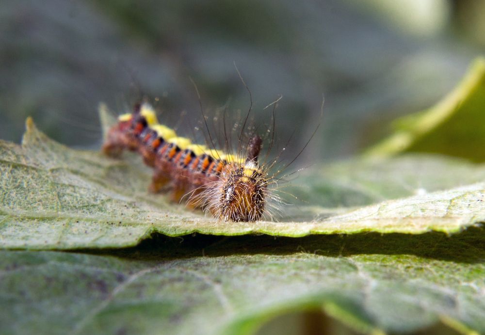 Photograph by Анна Евдокименко