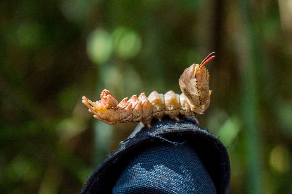 Photograph by Анна Евдокименко