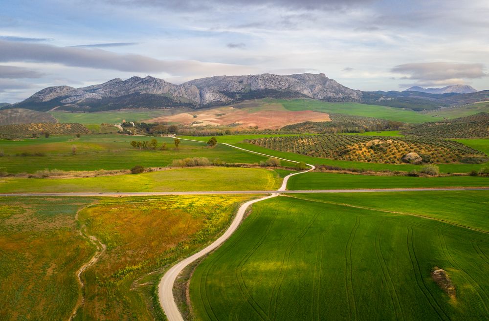 Photograph by Алекс Римский