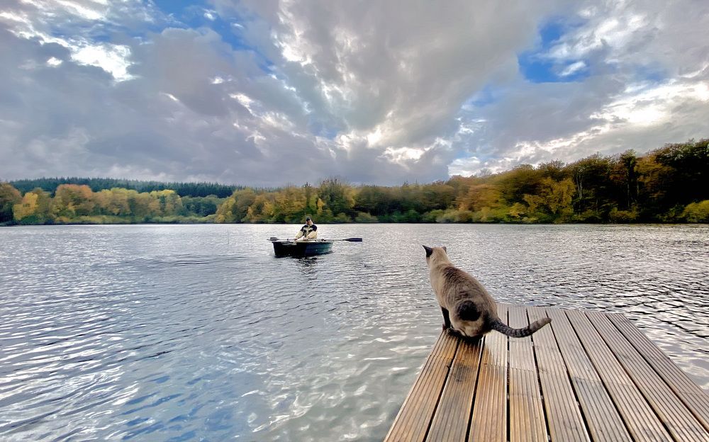 Photograph by LYUDMYLA POKRYSHEN