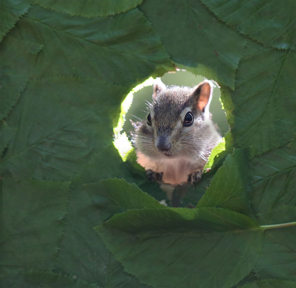 Photograph by Евгения Левина