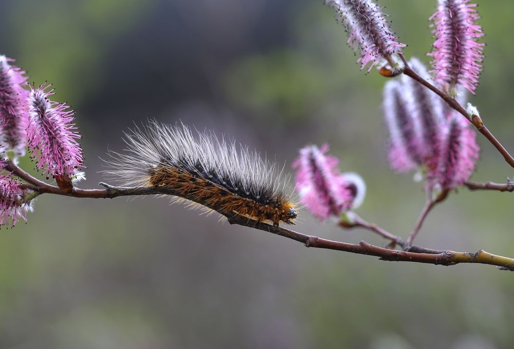 Photograph by Евгения Левина