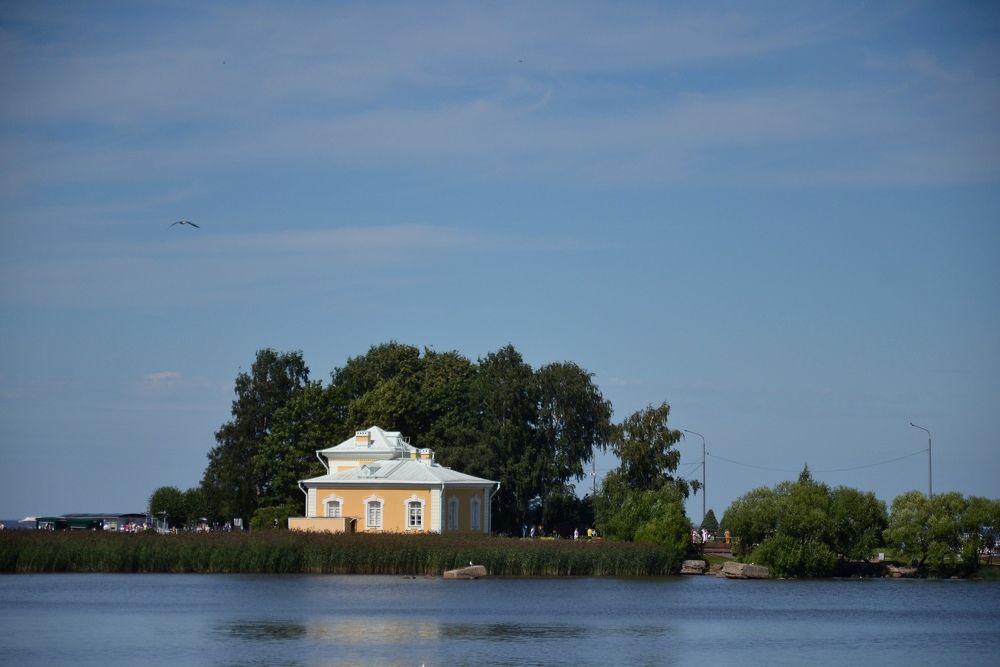 Photograph by Настя