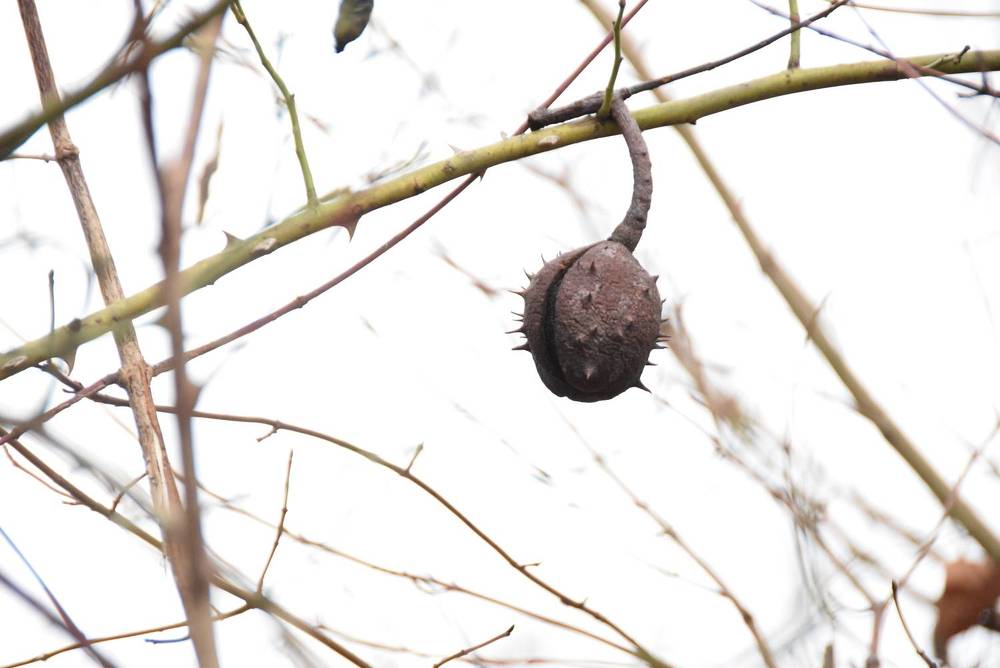 Photograph by Darko Bobić