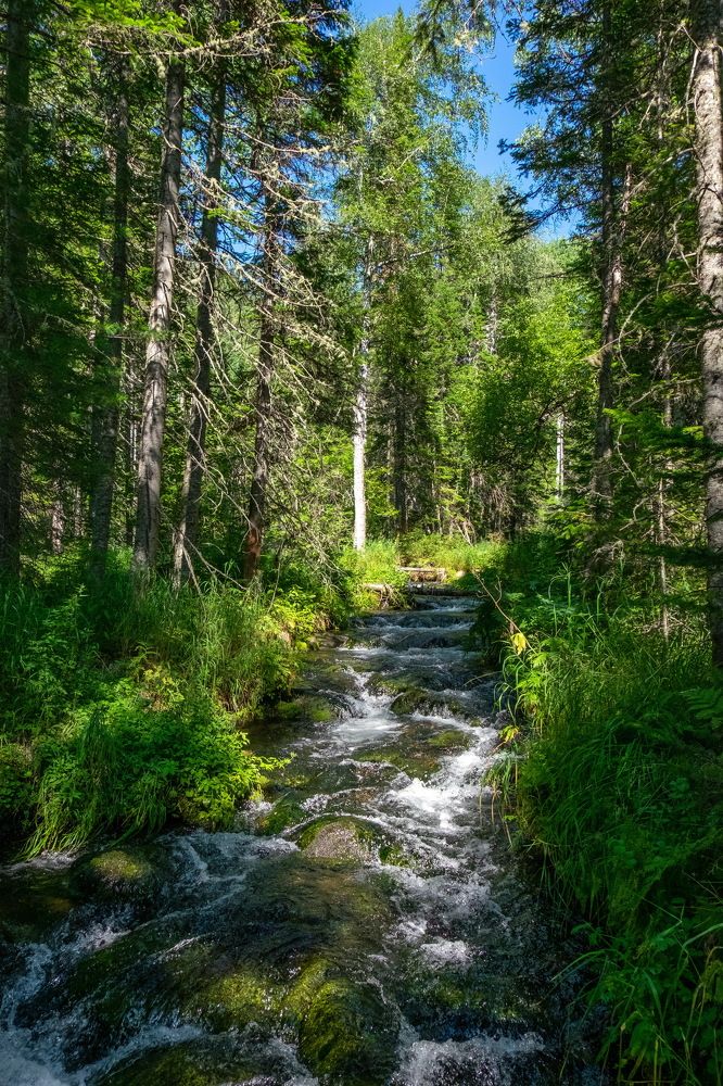 Фотография автора Андрей Ильков