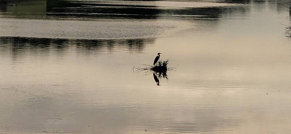 Photograph by Метушова Анна