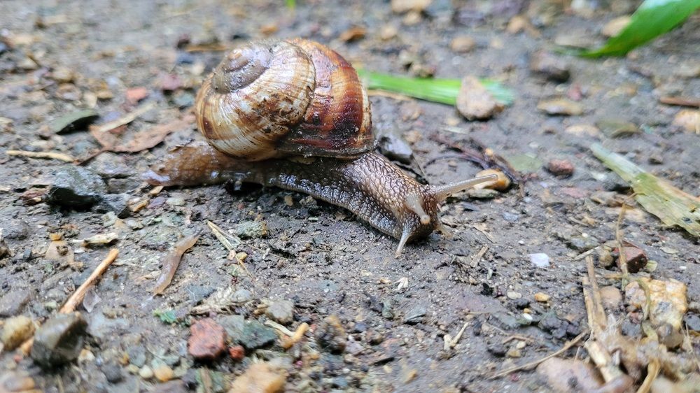 Photograph by Метушова Анна