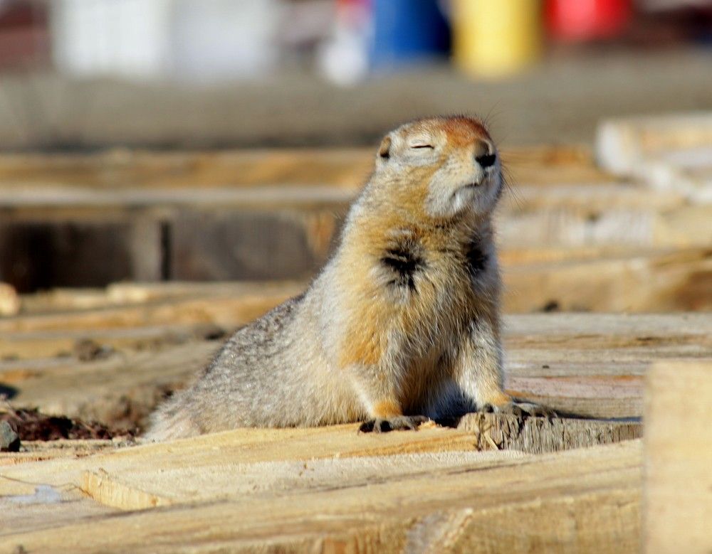 Photograph by Владимир Титов