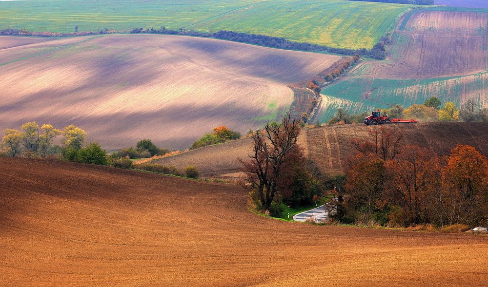 Осеннее волнение.