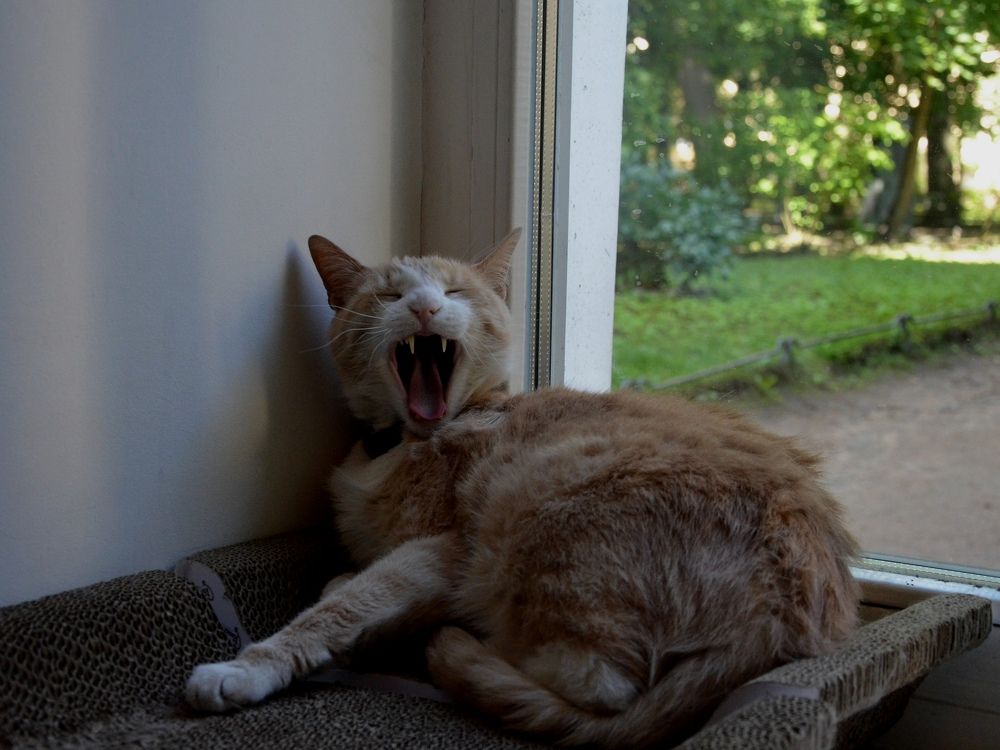 Photograph by Настя