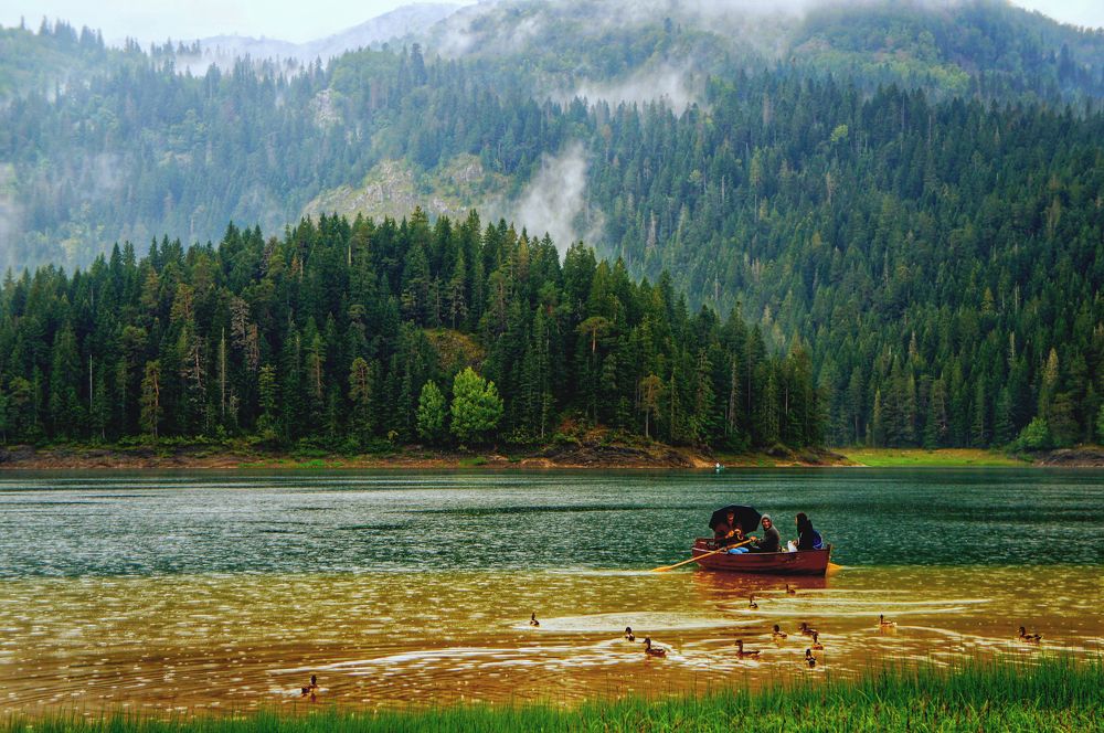 Фотография автора Ксения