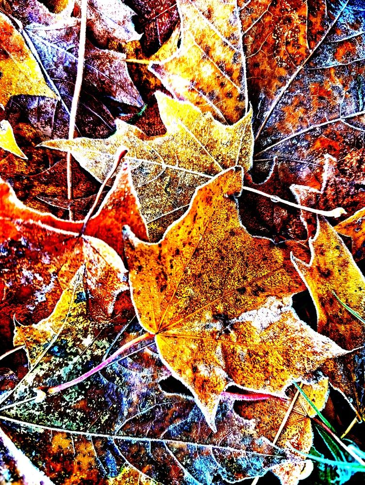 Photograph by Светлана Веселовская