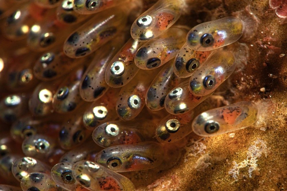 Photograph by Deniz muzaffer Gokmen