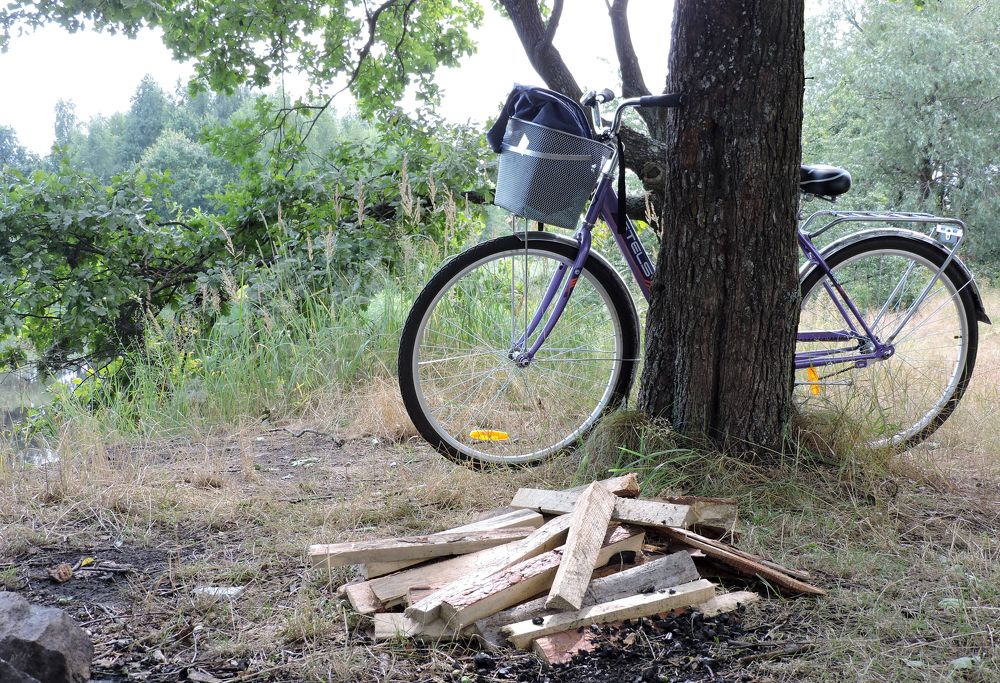 Photograph by Tatiana