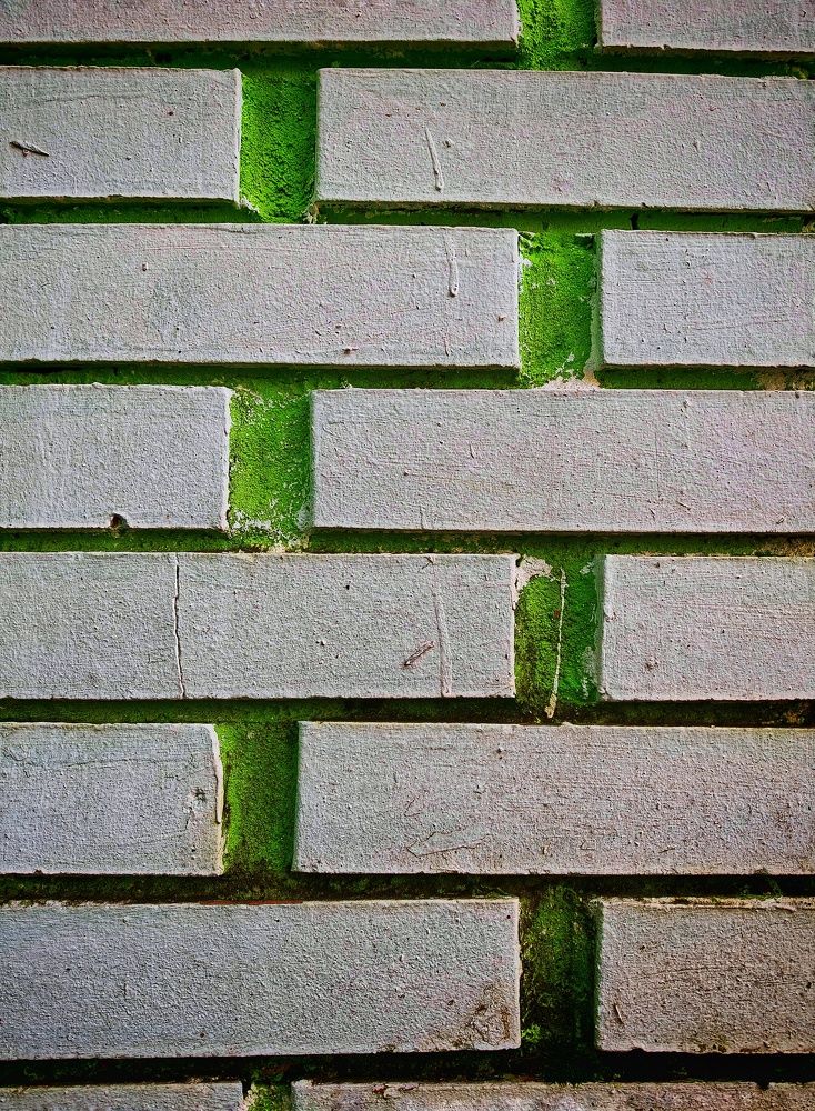 Photograph by Ольга Мажарук