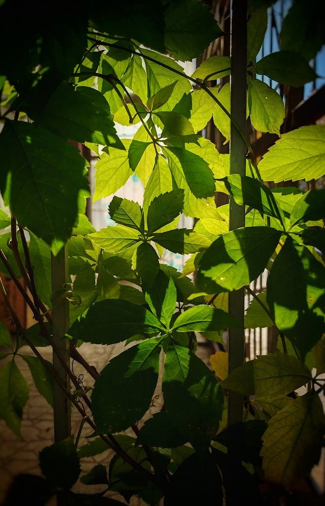 Photograph by Ольга Мажарук