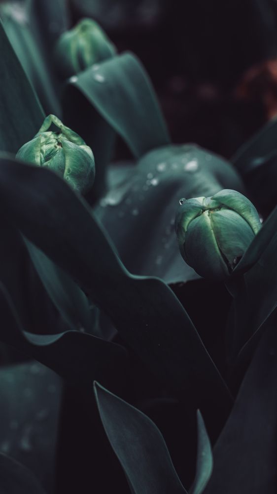 Photograph by Остапенко Алина