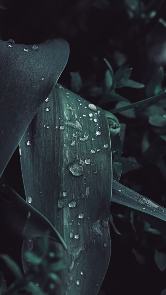 Photograph by Остапенко Алина