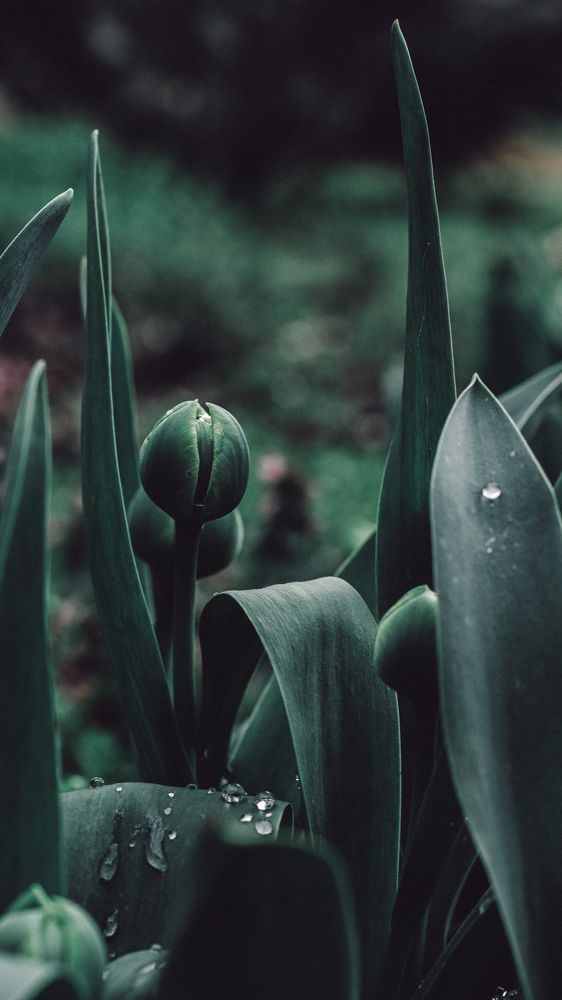 Photograph by Остапенко Алина