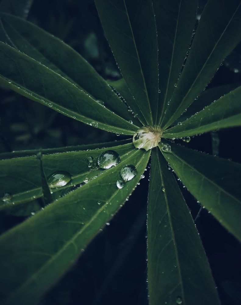 Photograph by Ольга Мажарук