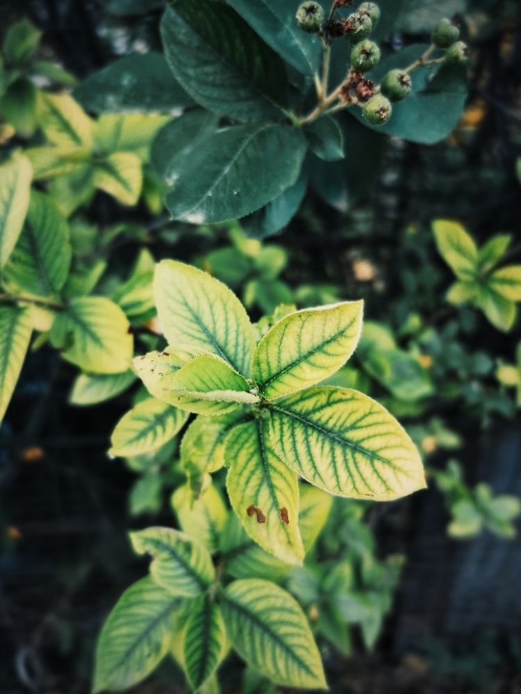 Photograph by Ольга Мажарук