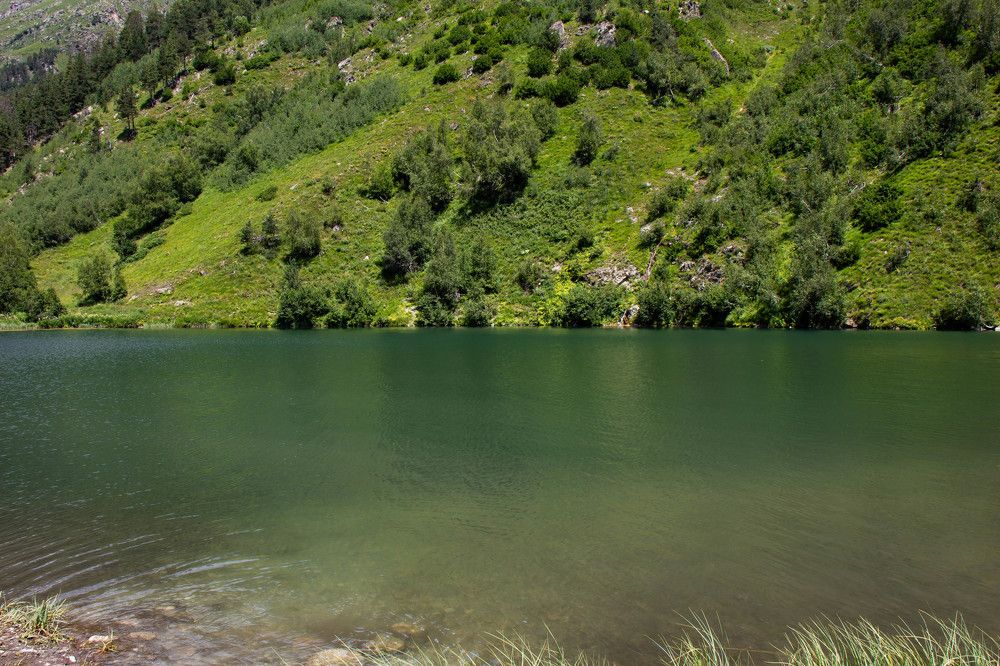 Photograph by Наталья Веряскина