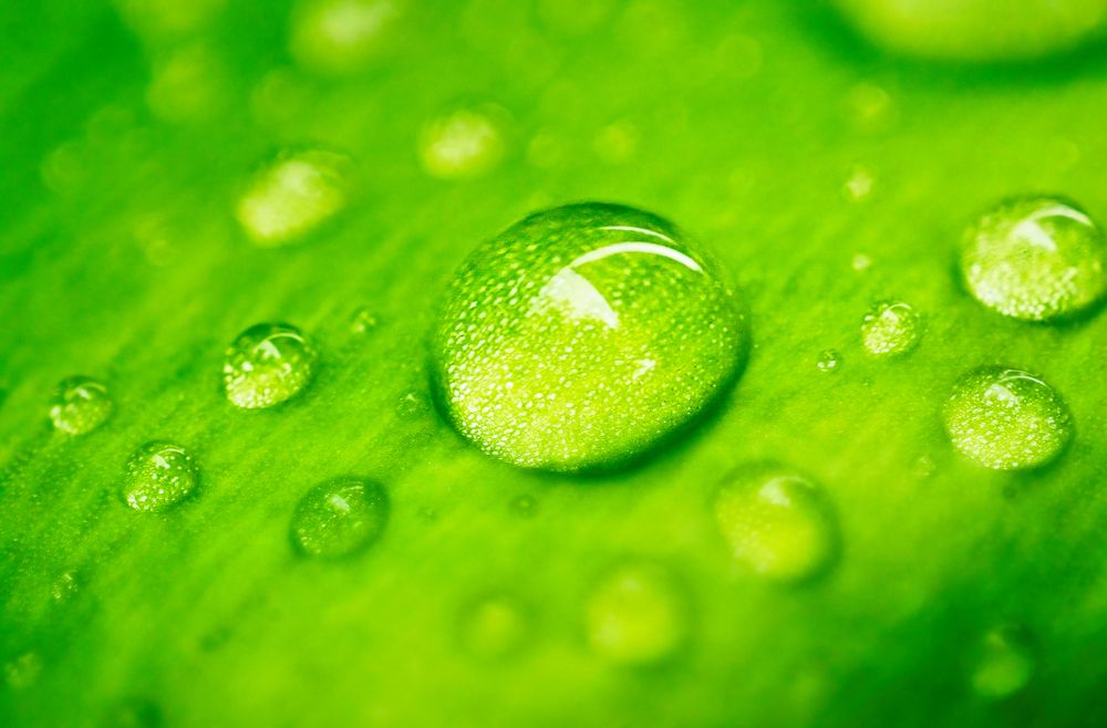 Photograph by Vimal Ram S