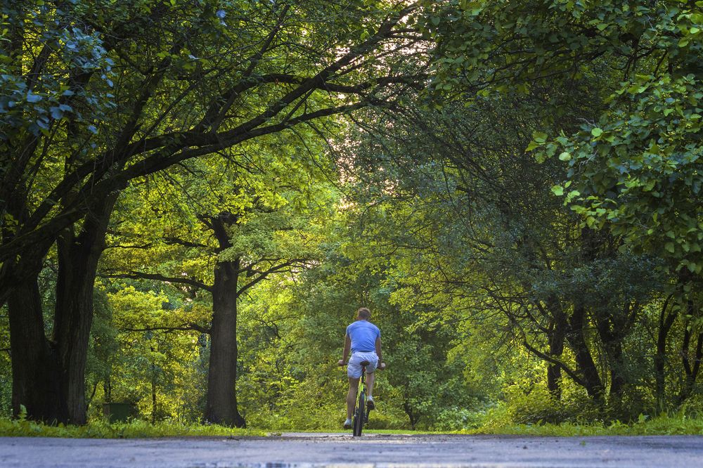 Фотография автора Aleksei Kartashov