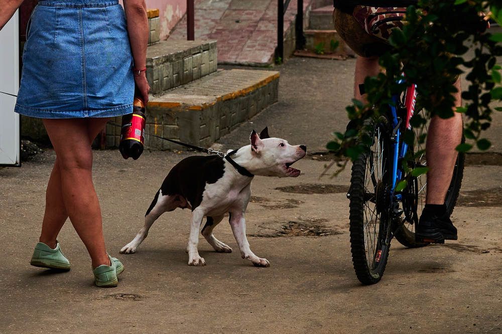 Photograph by Дмитрий Солодухин