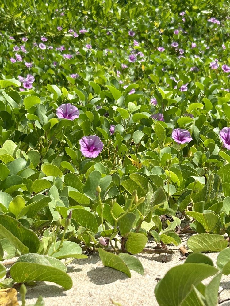 Photograph by Анна Киселева