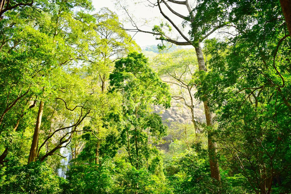 Photograph by Vimal Ram S