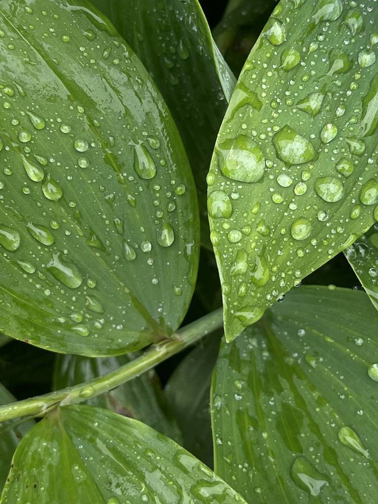 Photograph by Ekaterina