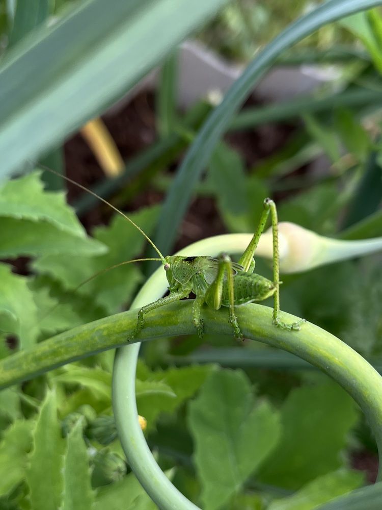 Photograph by Ekaterina