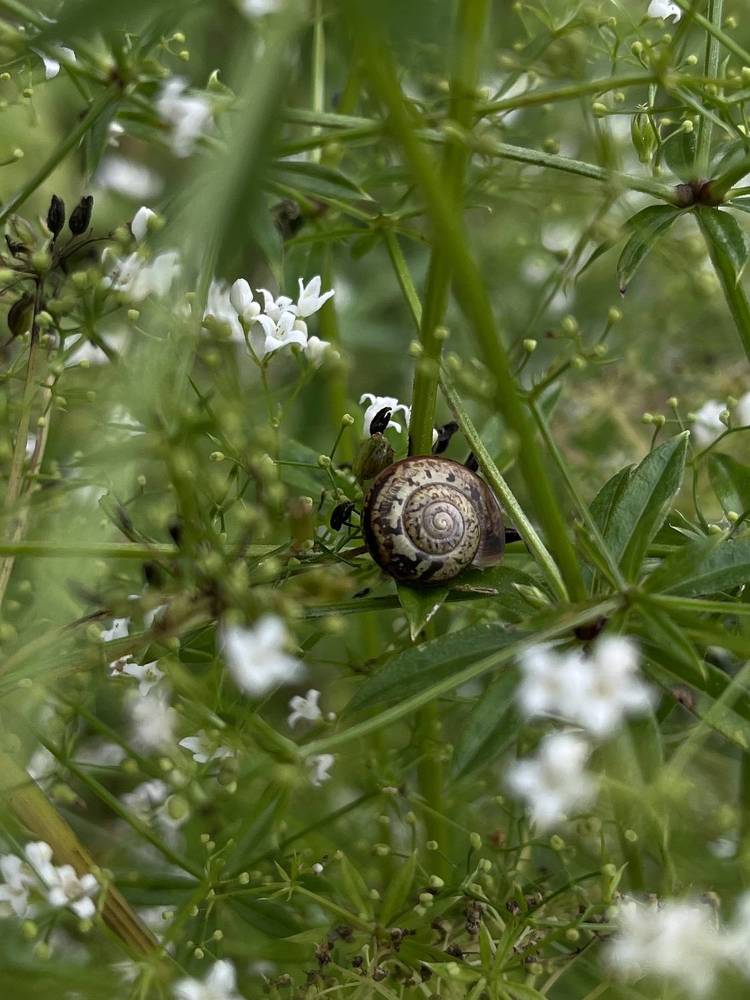 Photograph by Ekaterina