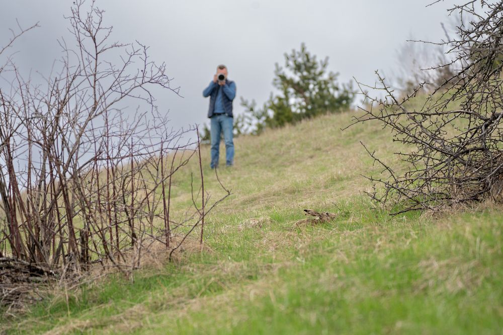 Photograph by Артем Кузнецов