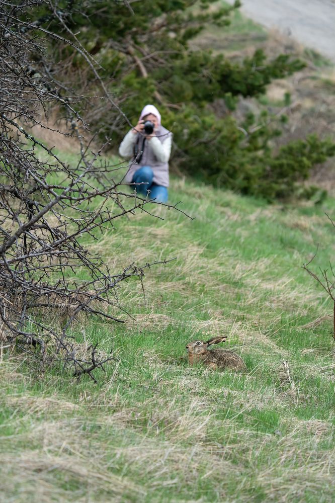 Photograph by Артем Кузнецов