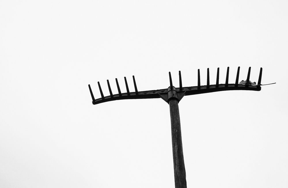 Фотография автора Abdullah Ibradžić