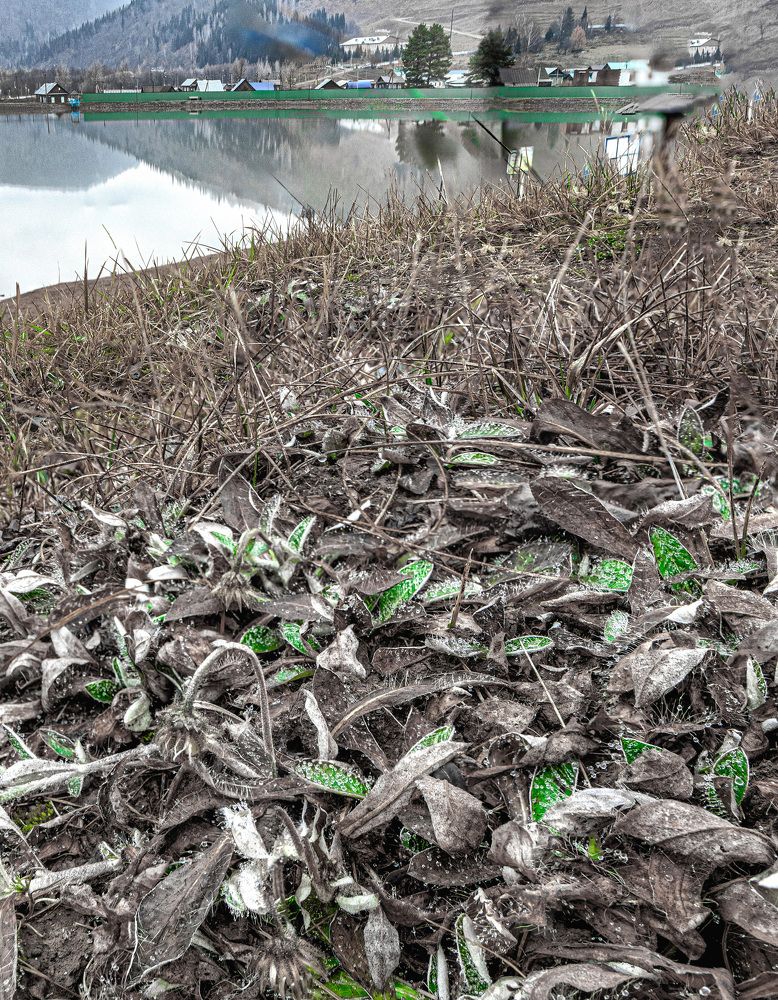 Photograph by Vitaly Lapin