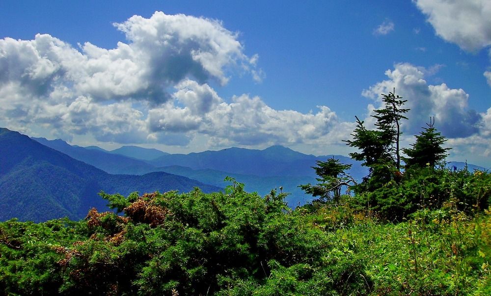 Photograph by Сергей Смоленцев