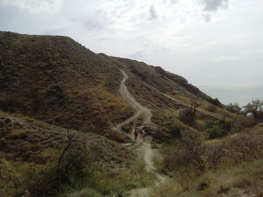 Опасная красота)