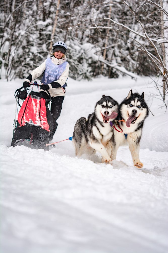 Photograph by Алёна Лозовая
