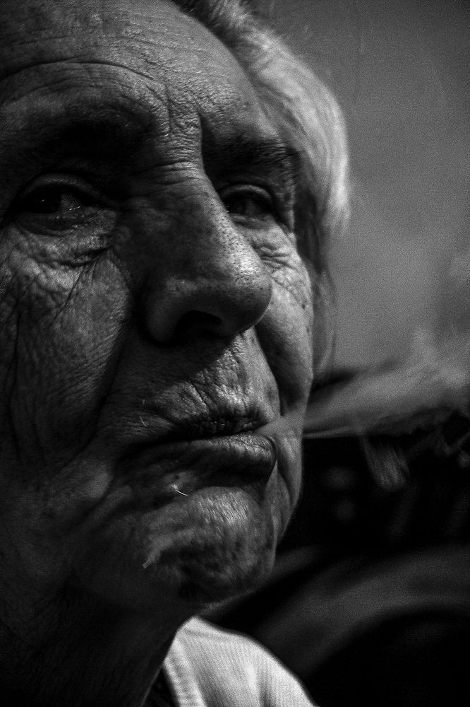 Фотография автора Abdullah Ibradžić