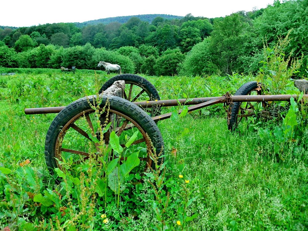 Photograph by Сергей Смоленцев
