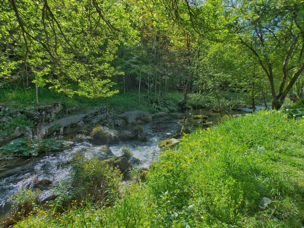 Photograph by Dragoslav Macanović