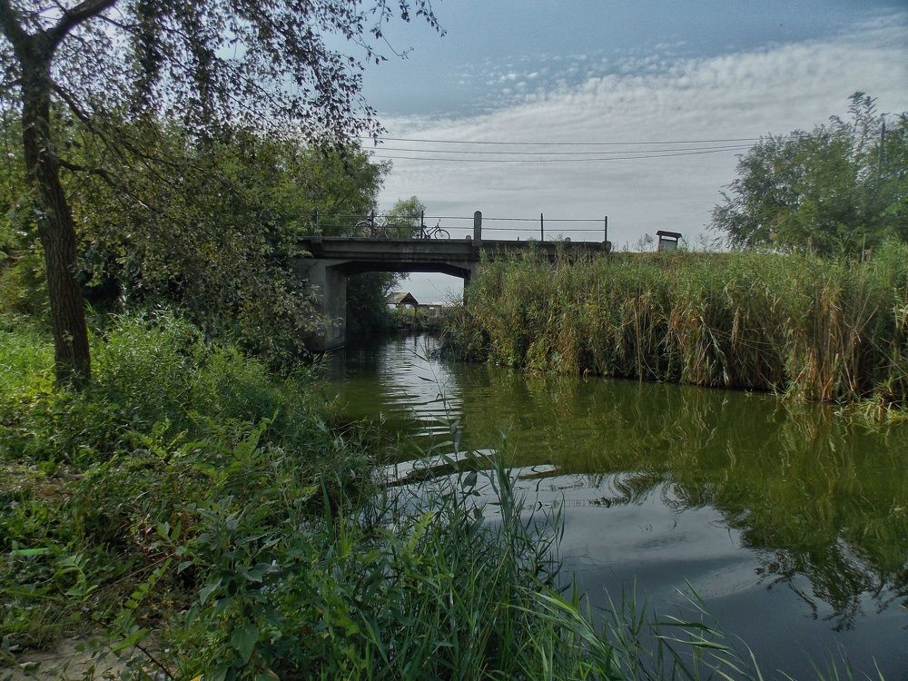 Photograph by Dragoslav Macanović