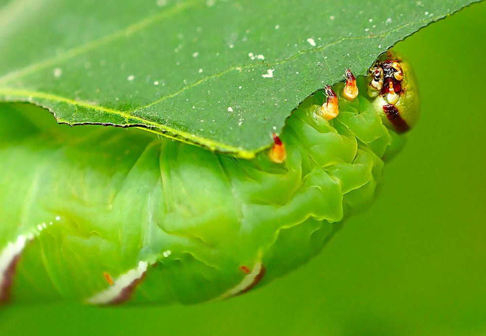 Photograph by Marjo Steffen